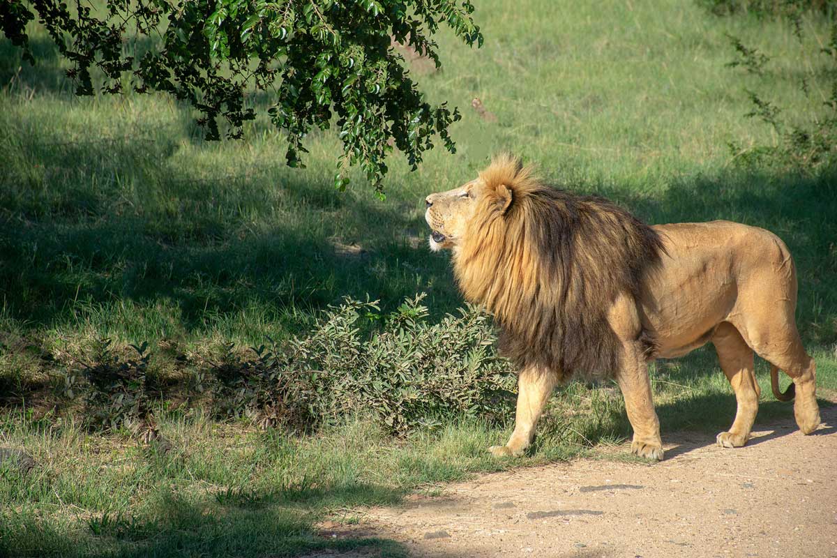 When to Visit Northern Tanzania