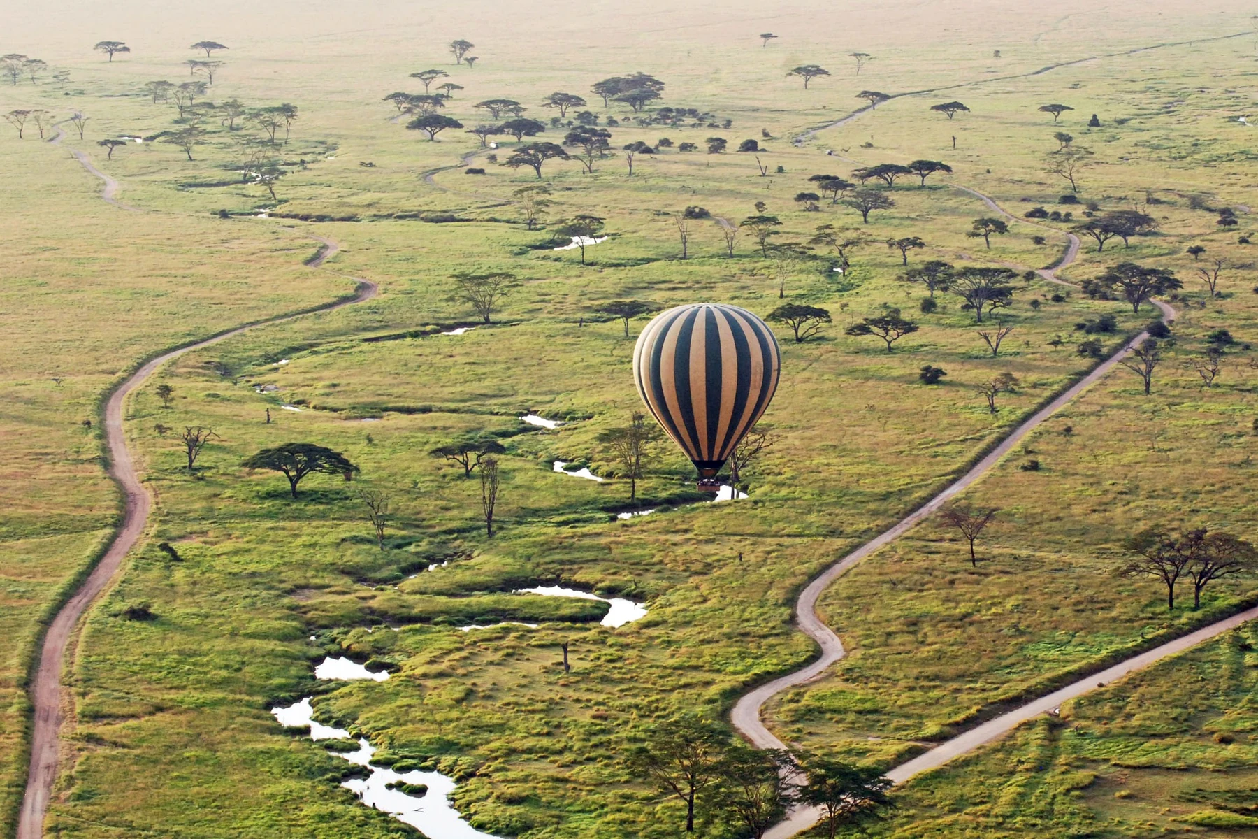 Serengeti balloon landscape