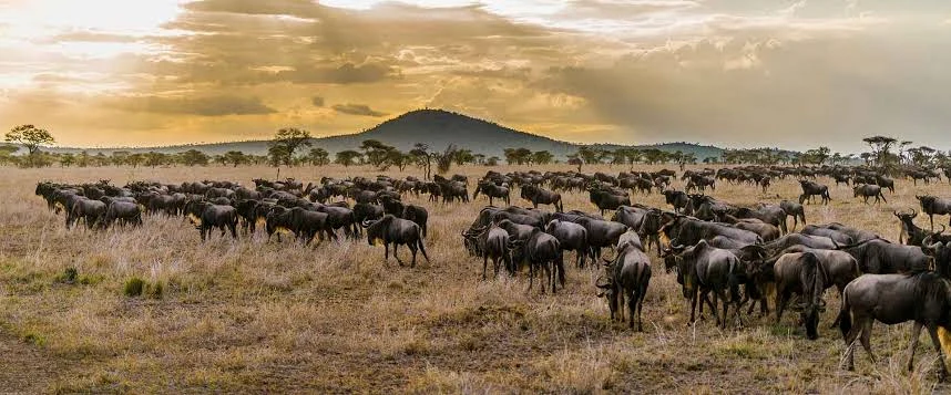 Serengeti National Park