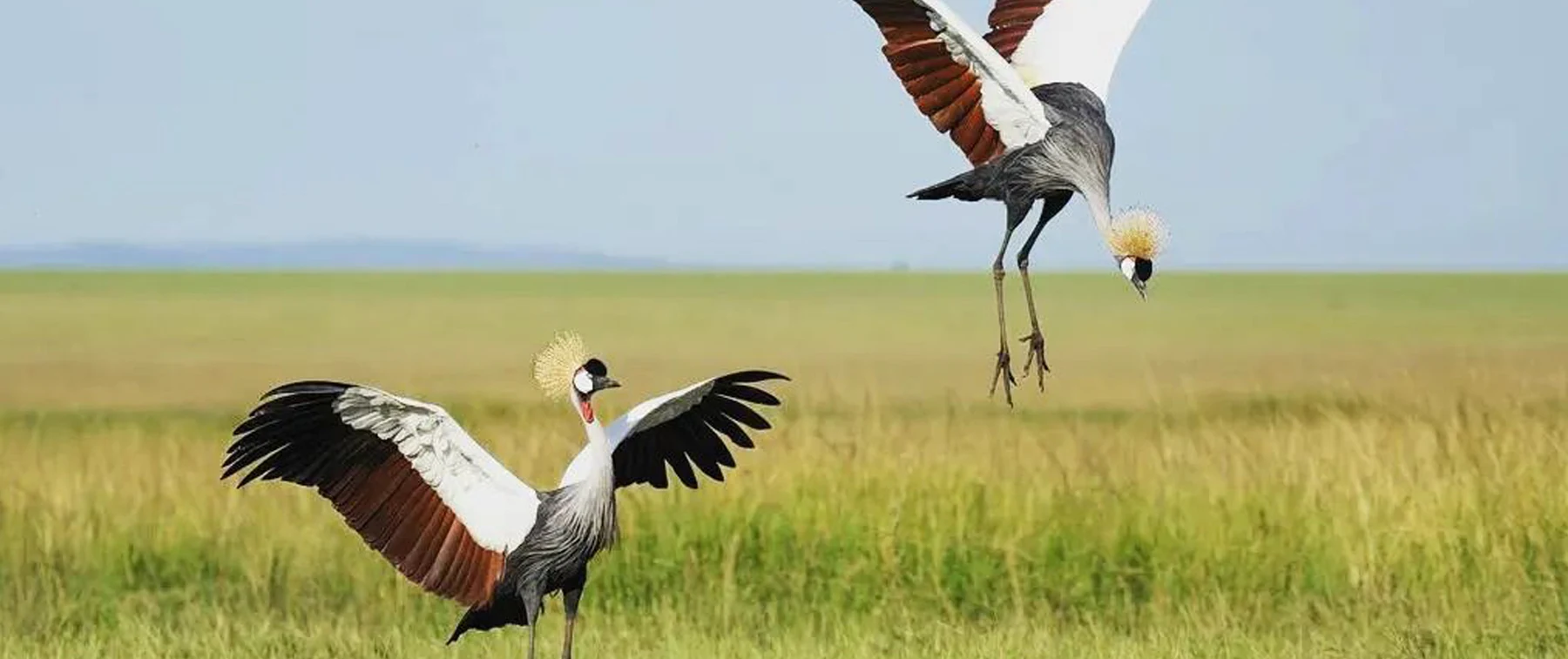 Tanzania Safari Packing List